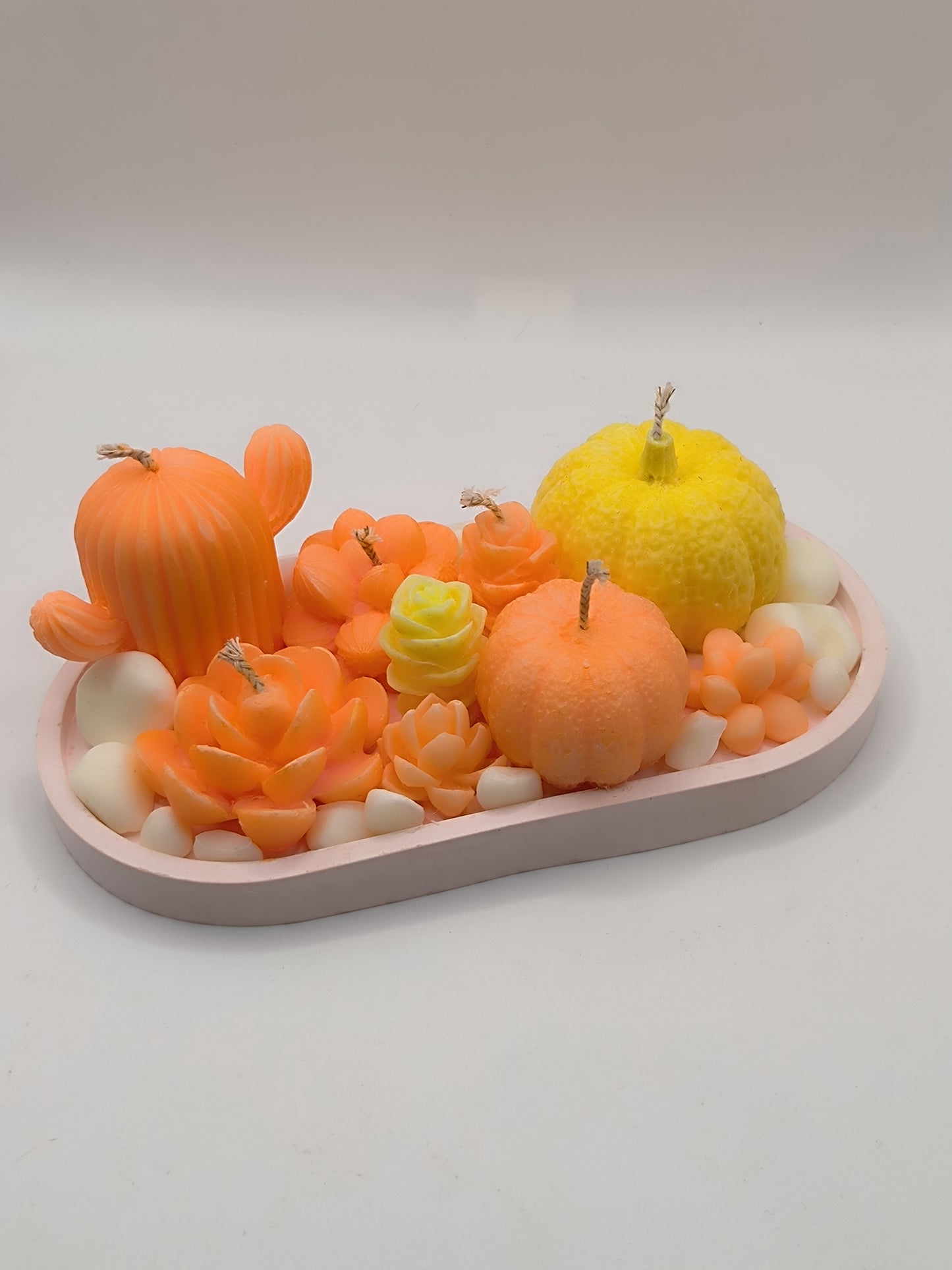 Bandeja Ovalada Rosa con Velas Decorativas de Cactus, Suculentas y Mini Calabazas – Fragancia Mandarina Divina EssenceWaxMelt