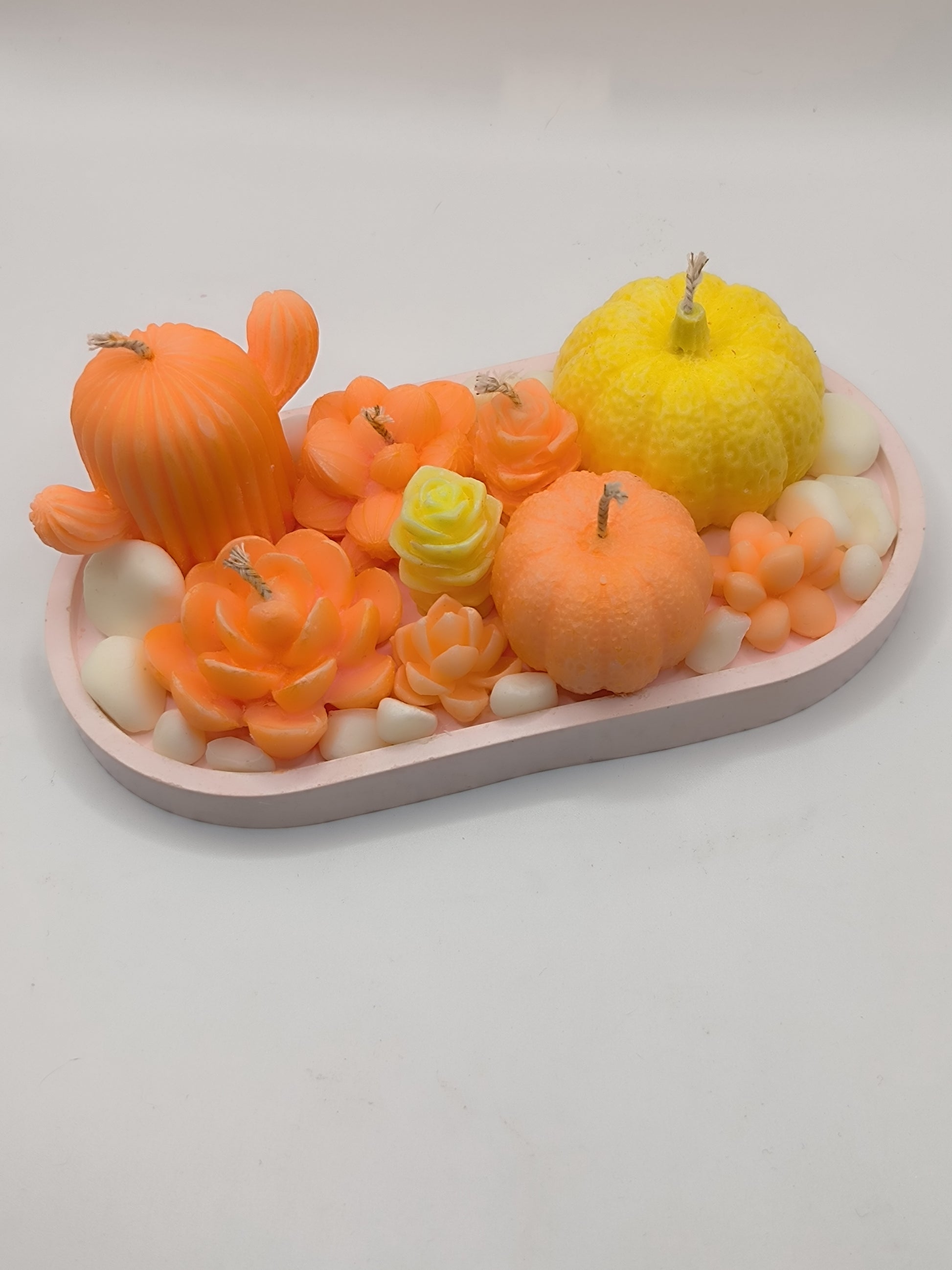 Bandeja Ovalada Rosa con Velas Decorativas de Cactus, Suculentas y Mini Calabazas – Fragancia Mandarina Divina EssenceWaxMelt