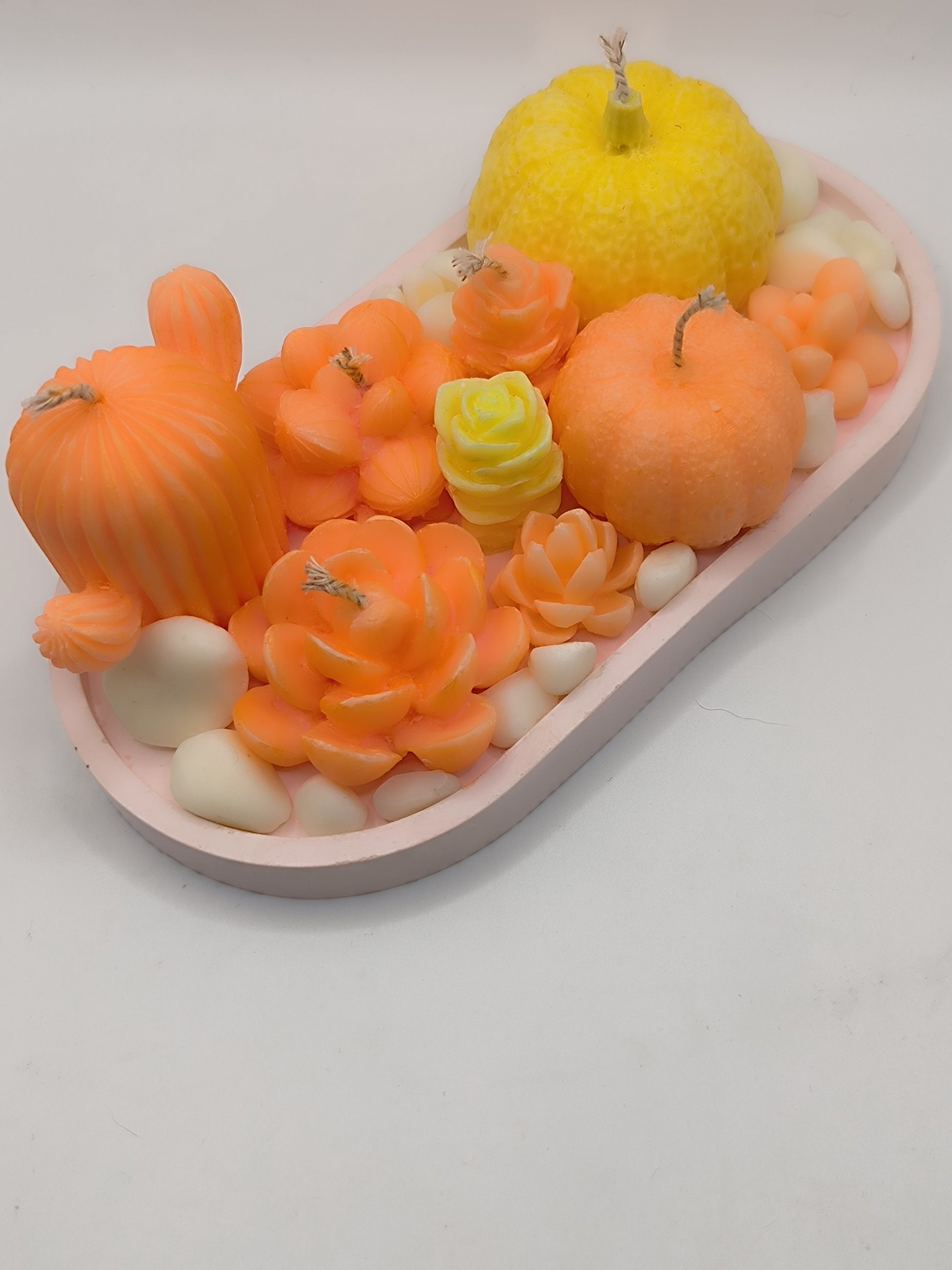 Bandeja Ovalada Rosa con Velas Decorativas de Cactus, Suculentas y Mini Calabazas – Fragancia Mandarina Divina EssenceWaxMelt