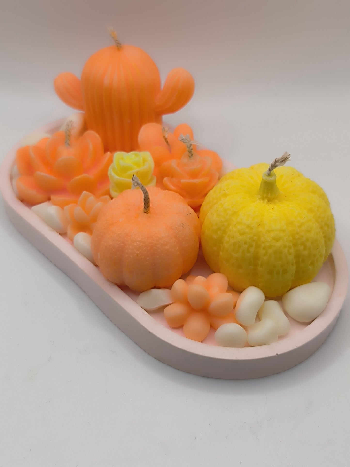 Bandeja Ovalada Rosa con Velas Decorativas de Cactus, Suculentas y Mini Calabazas – Fragancia Mandarina Divina EssenceWaxMelt